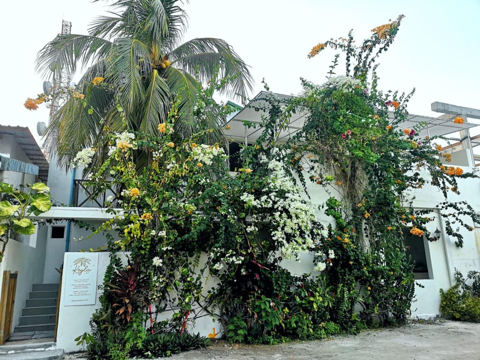 Keyla Inn 萨勒斯度岛 外观 照片